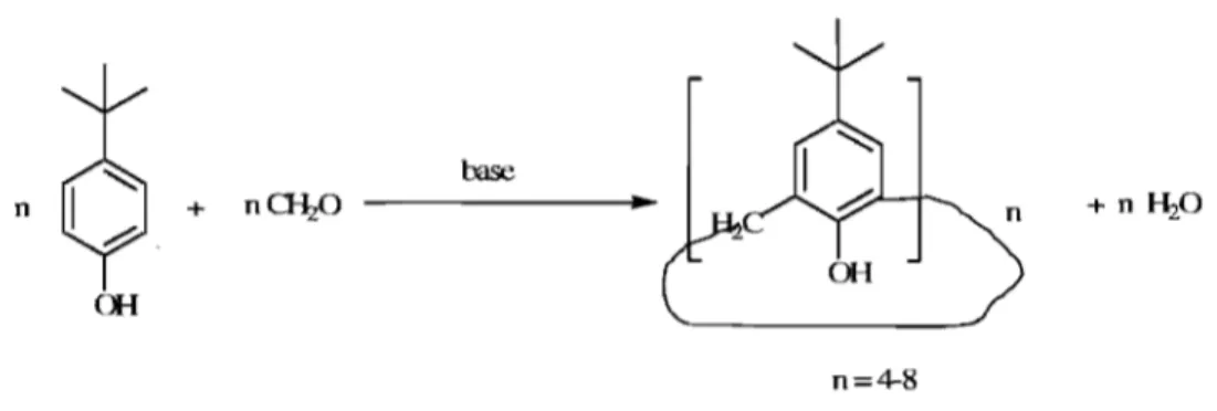 Figure 5  : Schéma réactionnel de la synthèse des  p-tert-buty1calixarènes  en une seule étape