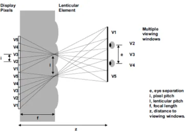 Figure 2.10: The principle of a multi-view auto-stereoscopic display