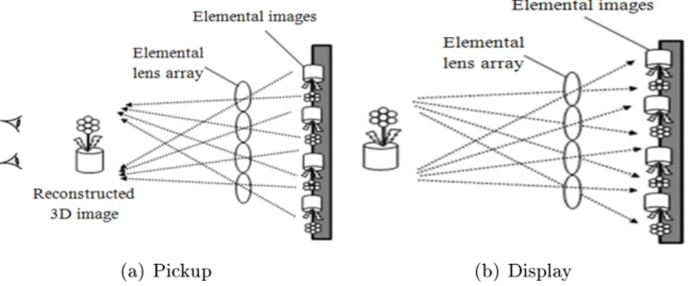 Figure 3.1: Optical setup of integral imaging system