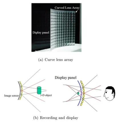 Figure 3.12: An example of curve lens array and concept of the recording and display process