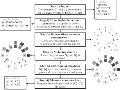Fig. 1. Step by step description of the bacterial genome analysis.