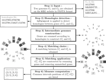 Fig. 1. Step by step description of the bacterial genome analysis.