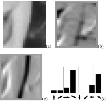 Figure 3.4: From pixels to HOG. (a) Image sample. (b,c) Computing the image directional gradients: