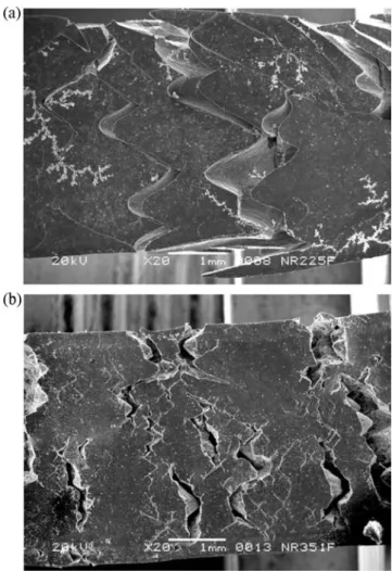 Fig. 11. SEM micrographs in seawater under non-relaxing loading conditions at (a) Dk = 1.0 and (b) Dk = 2.0; horizontal direction of loading; taken at failure.