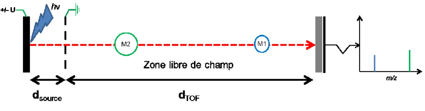 Figure 1.4 : Schéma d’un spectromètre de masse LDI avec un analyseur TOF linéaire.  