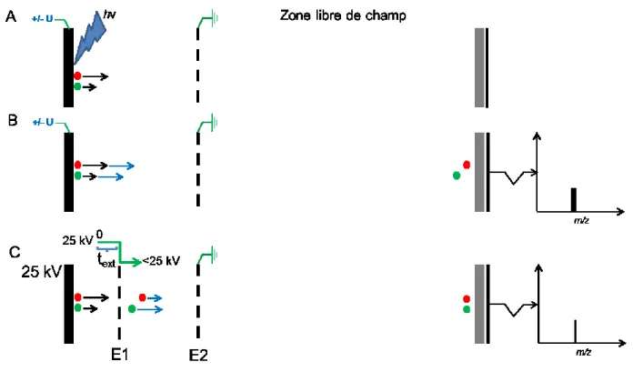 Figure 1.6 : Schéma explicatif de l’application du délai d’extraction pour une analyse en  TOF  linéaire