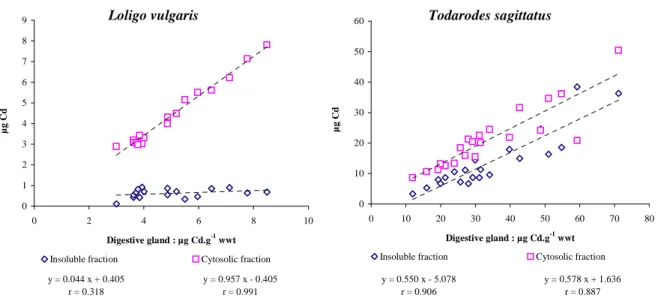 Figure 3. Quantity of cadmium (as µg) in the soluble and insoluble fractions of the digestive  gland of the squids Loligo vulgaris from the Bay of Biscay and Todarodes sagittatus from the  Faroe Islands as a function of total cadmium level (µg Cd.g -1  wwt