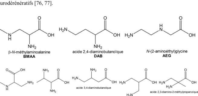 Figure 1-6.  Structure moléculaire du β-N-méthylaminoalanine et de ses isomères de  conformation (adapté de Jiang et al