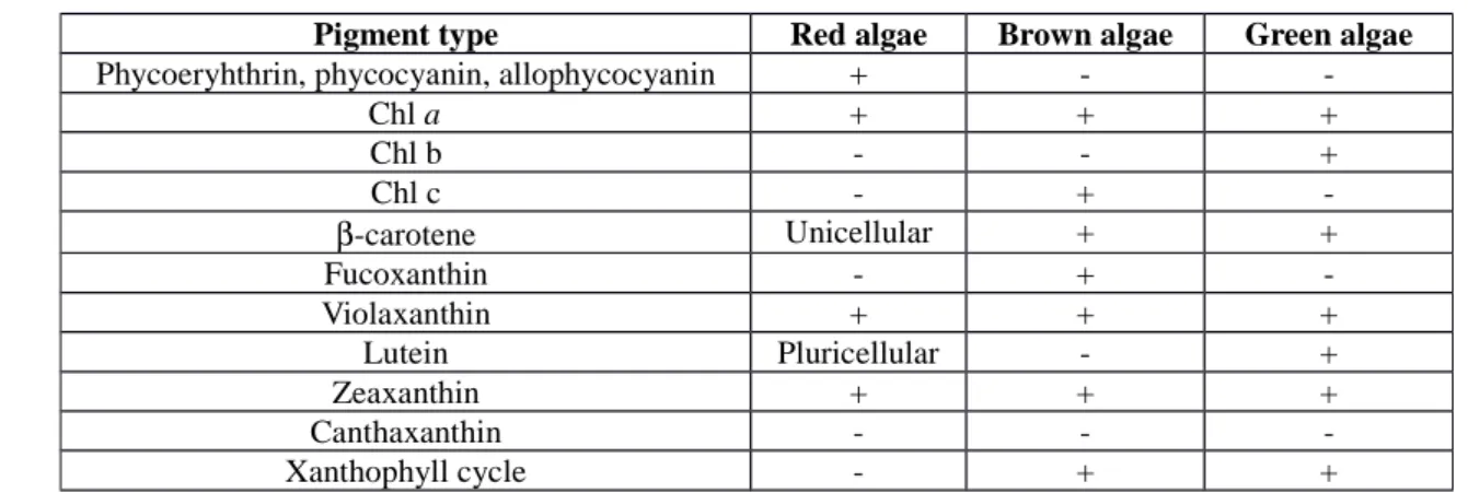 Table 1. Main chlorophyll and carotenoid types in the various taxons of photosynthetic organisms.