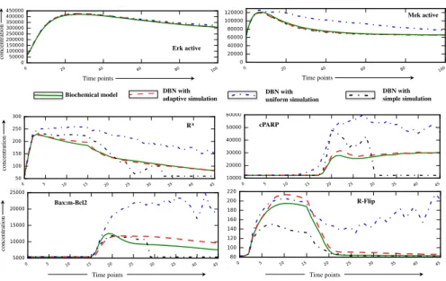 Fig. 4. Mean value of trajectories for selected species in the EGF-NGF pathway (top 2) and in the apoptosis pathway (bottom 4), as simulated by the biochemical model (solid green), the DBN using the simple simulations (black), adaptive look-ahead simulatio