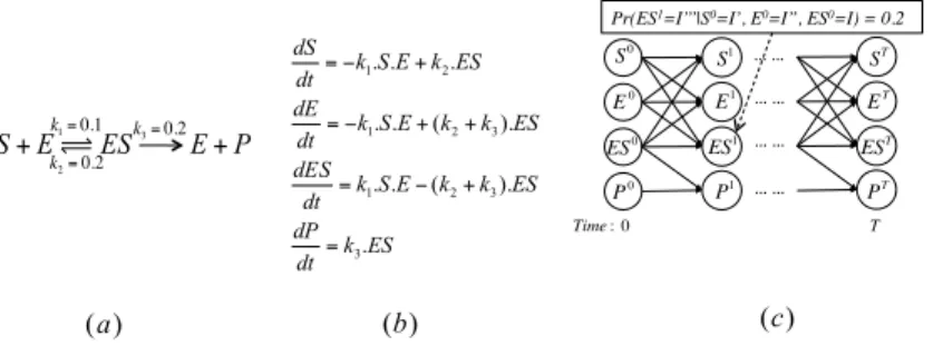 Fig. 1. a) The enzyme catalytic reaction network (b) The ODEs model (c) The DBN approxima- approxima-tion for 2 successive time points