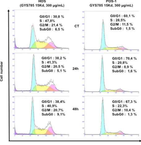 Figure 4. Effect of the OS-EPS 15 kDa derivative (300 µg/mL) on the cell cycle of osteosarcoma cell  lines: cell cycle distribution of human HOS and mouse POS-1 cells were studied by flow cytometry  after 24 h and 48 h treatment with OS-EPS derivatives