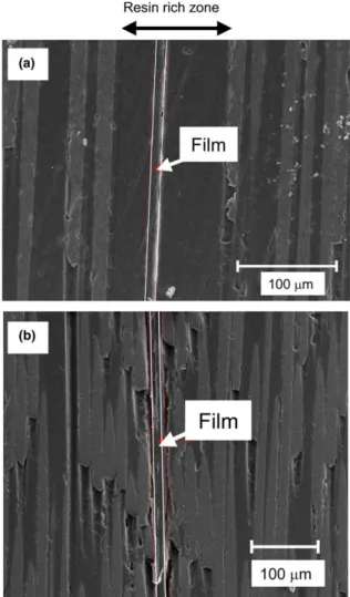 Fig. 10. Scanning electron micrographs of specimen edge in the starter ﬁlm region: (a) V f = 42%; (b) V f = 62%.