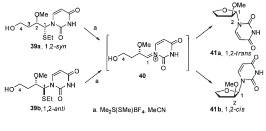 Figure 8. Cyclisation C4’—*Cl’ de thioaminals Mécanisme hypothétique SN1 OMe ÇMe HOtN(NH SEt O 39a, 12 -syn Q 41a, 1,2-trans OMe Z N