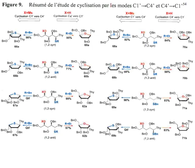 Figure 9. Résumé de l’étude de cyclisation par les modes Cl’—*C4’ et C4’—*C l’