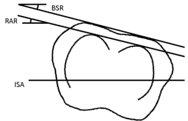 Fig.  6  -  Description  of  the  back  surface  rotation  (BSR)  and  the  ribs  axial  rotation  (RAR)  in  an  axial  projection  of  the  ribs  of  a  given  level  and  the  corresponding section of the surface topography
