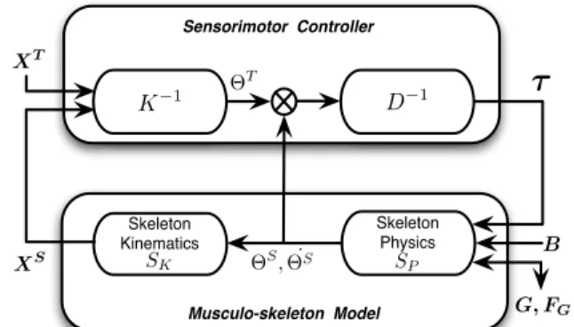 Fig. 3: Virtual gesture control: physical control of the musculo-skeleton model of the virtual performer from mallet extremity trajectories.