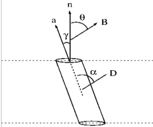 Figure  1.6. Definition of the angles (), n is the bilayer normal, a is the long (rotation) axis  of the molecule and B represents the magnetic field