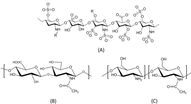 Figure 1.3 Chemical structures of natural polysaccharides. (A) heparin, (B) chitosan, and (C)  hyaluronic acid