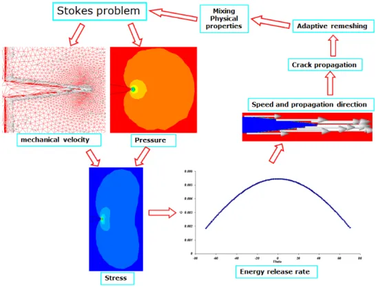 Fig. 8. The domain of the comparative case