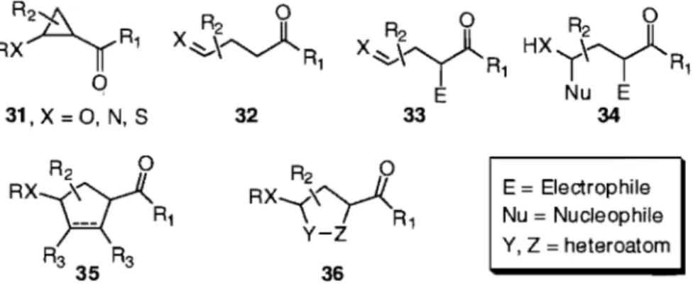 Figure 3: Donor-acceptor cyclopropanes and their common reaction products 6b  R=~Rl  31,  X =0, N,  S °  32  R  ° X ~\ 2 .........