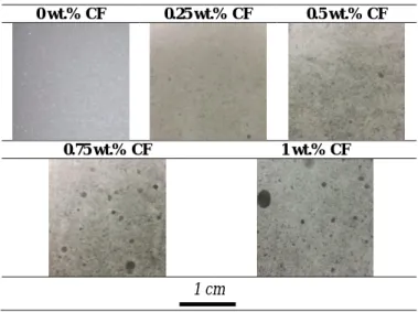 Fig. 6. Representation of the air holes inside the carbon fiber (CF) loaded composite samples