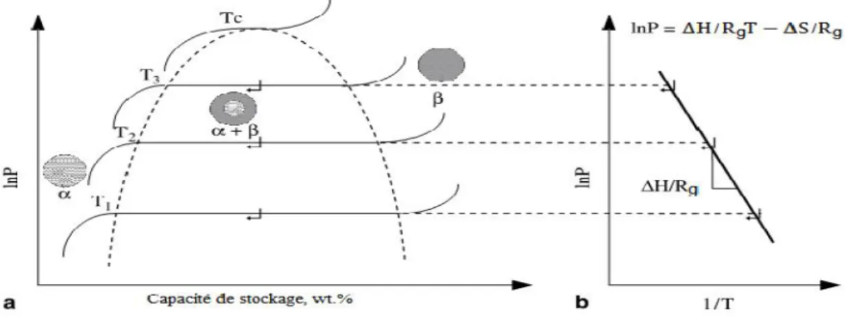 Figure I.7 a) Les isothermes de pression-composition et b) le diagramme de van't Hoff.