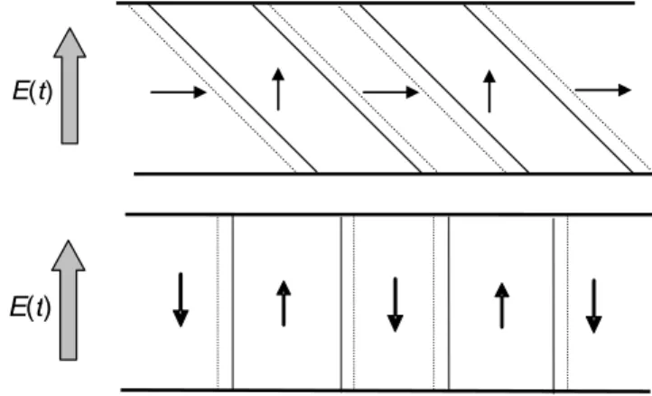 Figure 1 : Organisation de la polarisation en domaines à 90° (en haut) et à 180° (en bas)