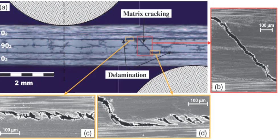 Figure 7. Post mortem observation (a) micrograph of specimen I1 after test and (b) scanning electron microscope (SEM) obser- obser-vation of debris inside matrix cracks; (c) SEM obserobser-vation of delamination.