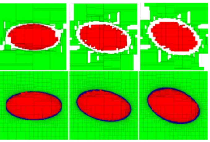 Fig. 9. 2D section of the 3D paving obtained for the case 7. From left to right: