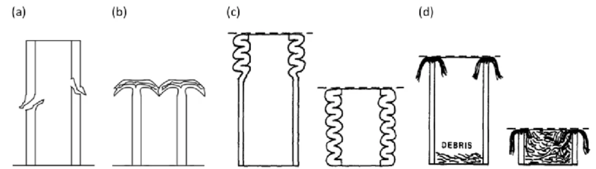 Figure  1).  During  the  first  case,  composite  tube  walls  progressively  fold  under  successive  local  buckling (similar to shell buckling) when loaded in axial compression