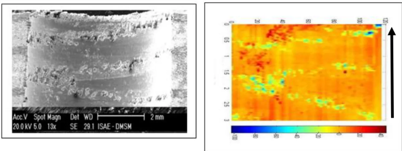 Fig. 8. Comparison between micrographic observations and roughness maps (quasi-isotropic  stacking)