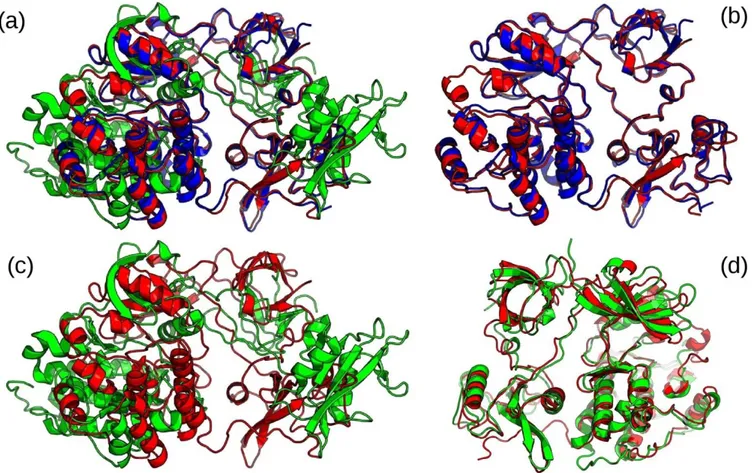 Figure  3.  Comparison  between  3  structures  of  human  tyrosine  kinase  C-SRC  by  rigid  body  &amp;  flexible  superimposition
