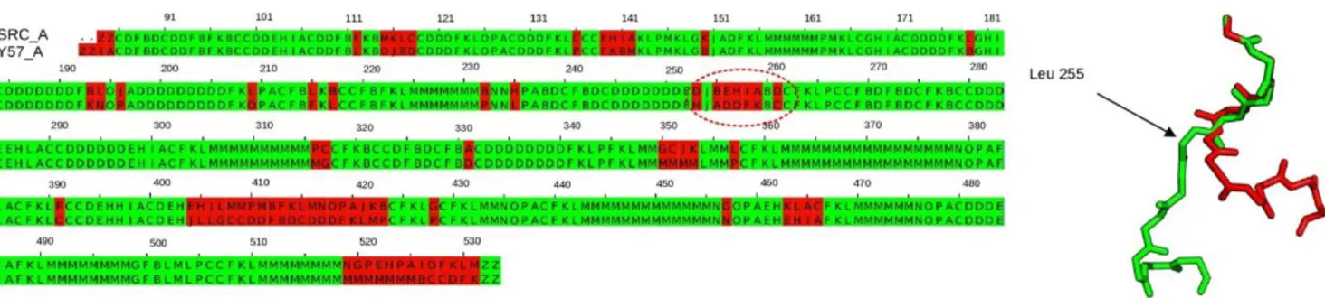 Figure  4.  PB  alignment  between  two  structures  of  human  tyrosine  kinase  C-SRC  bound  to  ANP  ligand  (PDB  ID  2SRC) and MPZ ligand (PDB ID 1Y57) captured by altconfMAT matrix