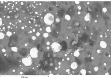 Fig. 7. SEM Image of Sample 08 (CRT + C) - backscattered electrons. 