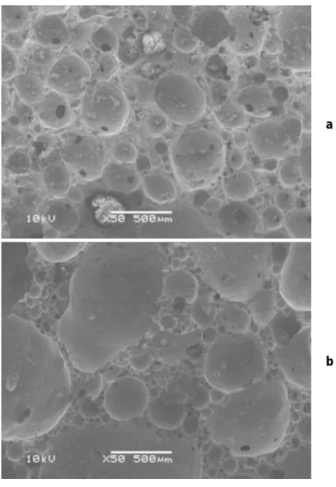 Fig. 3. SEM image of the samples Smp-06 based on SLS waste (a) and Smp-11 based on CRT waste 