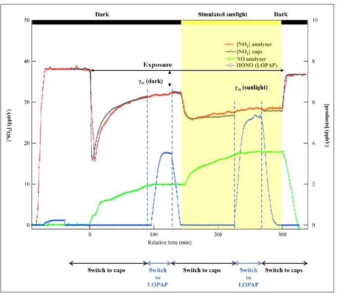 Fig.  3:  Typical  experiment  of  NO 2   adsorption/reaction  on  Hagavatn  volcanic  sample  where  all  705 