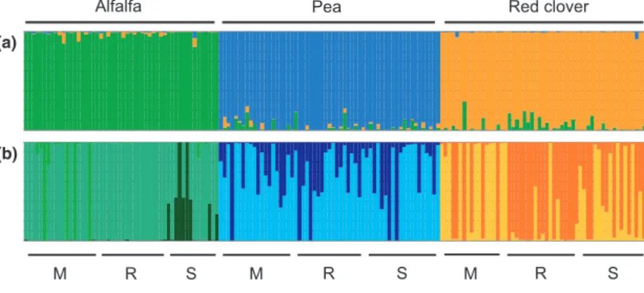 Fig. 1 Clustering of pea aphids by