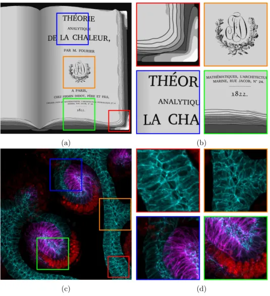 Figure 3: Original images 1024 × 1024.