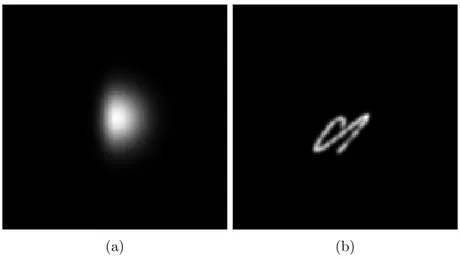 Figure 4: PSFs used in the paper. (4a) is a skewed Gaussian. (4b) is a motion blur.