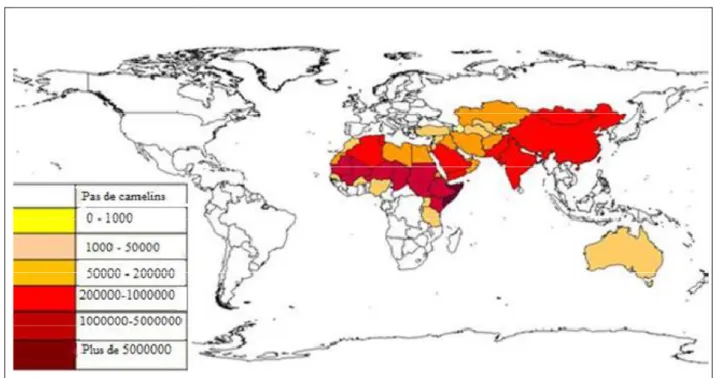 Figure 02 : Effectifs des grands camélidés dans le monde (OULAD BELKHIR,2018). 