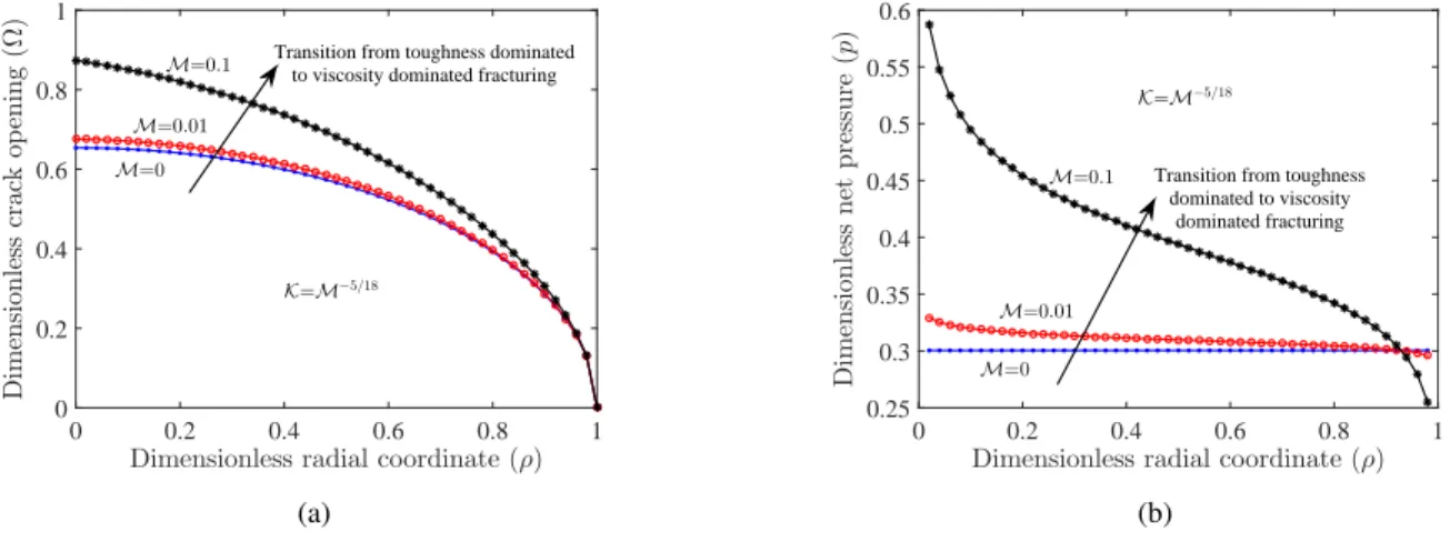 Figure 4: Dimensionless a) crack aperture profile, b) crack net pressure profile for the analytical solution of eq
