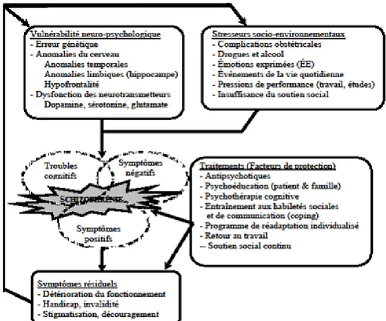 Tableau V – Le modèle vulnérabilité-stress 