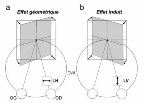 Figure 32 : effet induit et géométrique pour la perception d’une surface oblique (Devisme, 2008) 