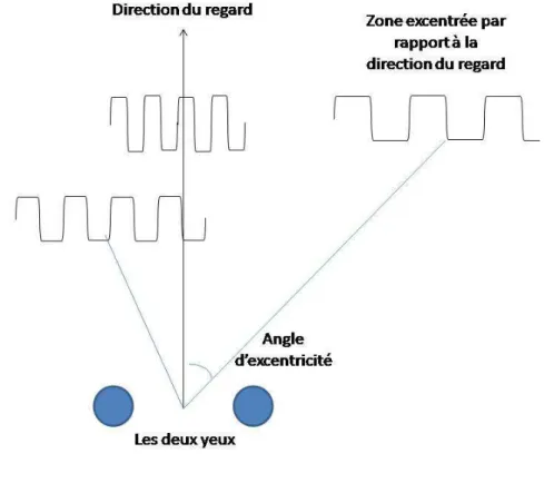 Figure 35 : la fréquence de variation des disparités optimale dépend de l'excentricité (vue du dessus) 