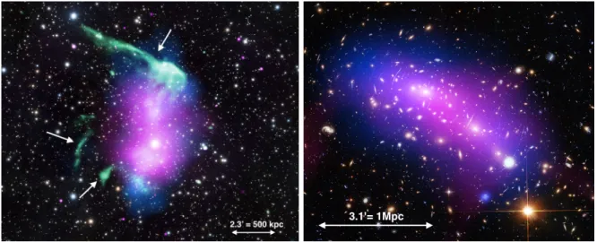 Figure 1.18. Images composites (rayons X, visible et radio) de deux amas de ga- ga-laxies présentant des sources d’émission radio complexes