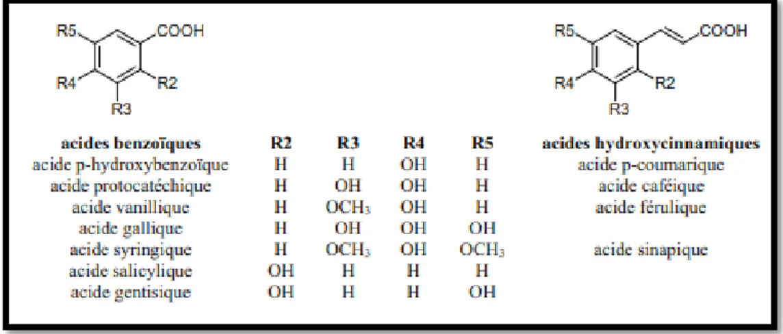 Figure 03 : Structure chimique de l’acide benzoïque et l’acide hydroxycinnamique (Chira  et al .,2008) 