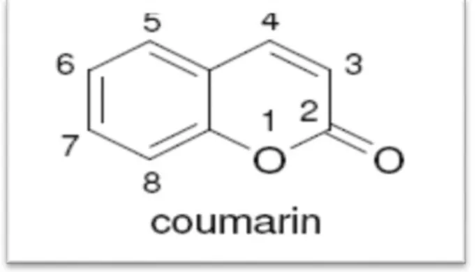 Figure 08 : Structure du benzo-2-pyrone (Muanda, 2010). 