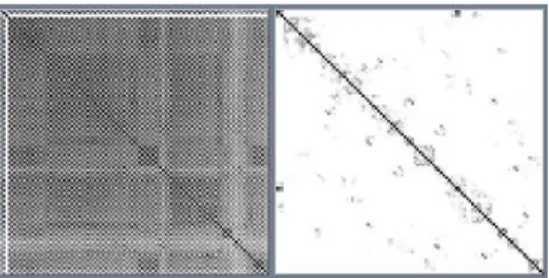 Figure 3.23: On the left size the values of the covariance matrix Σ W t are shown. On the right the equivalent information matrix Σ − W 1