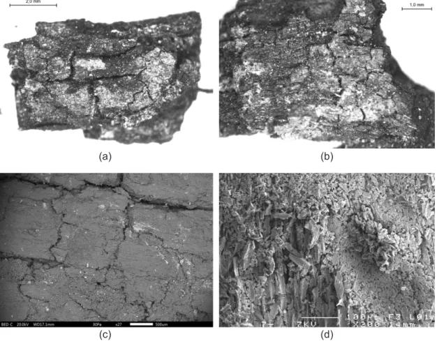 Figure 6. Cubic-rot on carbonized beech (CH 27), M. Toriti. b. Cubic-rot on carbonized beech (CH 4), M